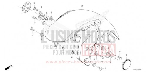 FRONT FENDER CBF300NAN de 2022